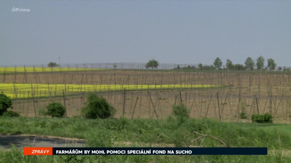 22. 5. 2018 ZPRÁVY: FARMÁŘŮM BY MOHL POMOCI SPECIÁLNÍ FOND NA SUCHO
